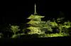  安久津八幡神社三重塔　期間限定ライトアップ