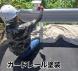 ガードレール塗装<br>(山形県):2023/09/06 10:07