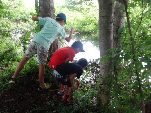 【夏の白川サマーキャンプ】/