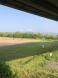 【白川河川敷グラウンド整備】:2018/05/27 11:15