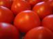 tomato:2006/05/25 15:44