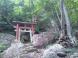 奥の院(本文途上):2011/07/19 13:50
