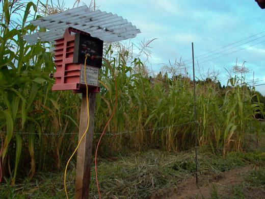 電柵設営/