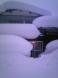 大雪:2012/02/01 07:03