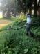 ソバで草刈り:2012/08/04 08:24