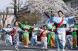 2022年 米沢上杉まつり開幕祭「民踊流し」・「ステー..:2022/03/09 09:19