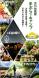 Tengendai Kogen :2024/06/27 10:47