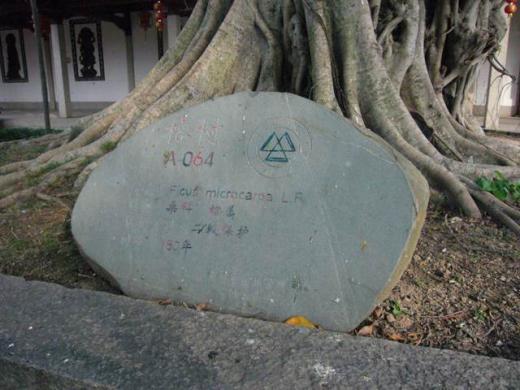 £±£µ£°Ç¯Á°¤«¤é¤³¤³¤Ë¤¢¤ëÌÚ¤À¤½¤¦¤Ç¤¹¡£/