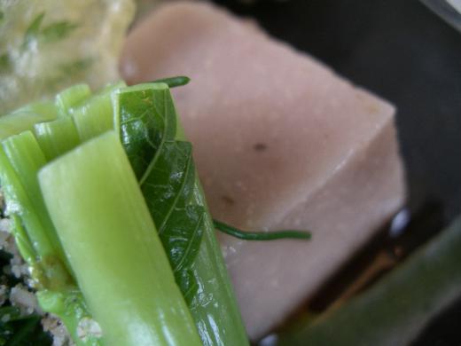 胡麻豆腐や季節の山菜/