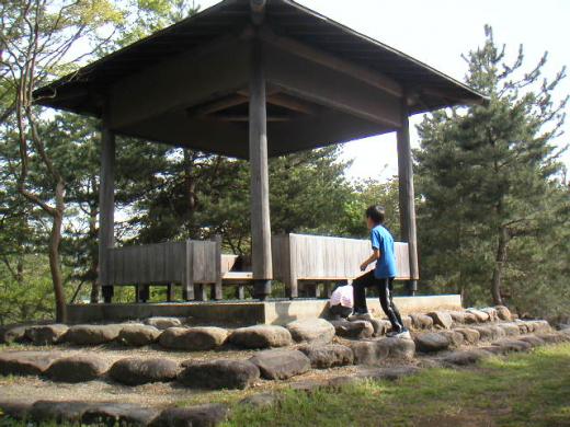 上山市民公園「蒸気機関車に逢える」地球と月を2回半往復 --comment/
