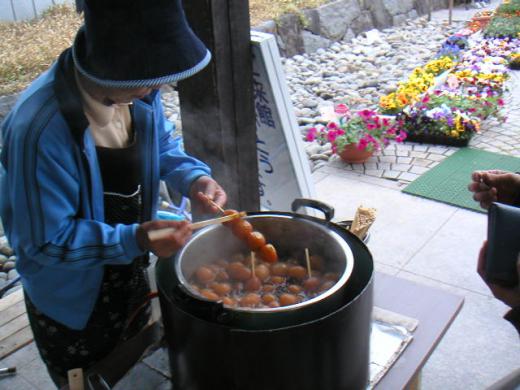 テルメ柏陵「健康温泉館/柏陵荘」月山〜最上川を眺める名湯 --comment/
