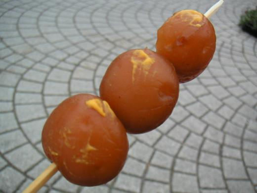 テルメ柏陵「健康温泉館/柏陵荘」月山〜最上川を眺める名湯 --comment/