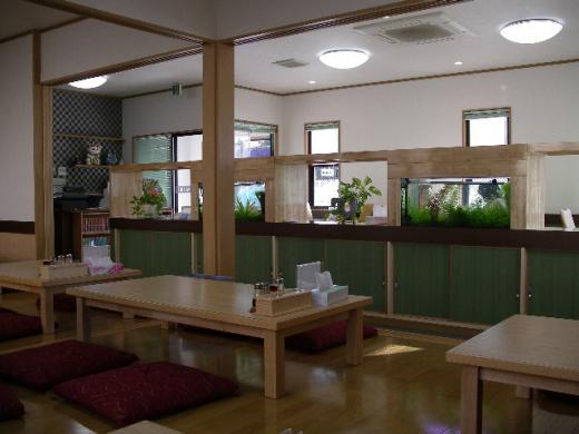 店内は明るく醤油だし匂いが漂います/