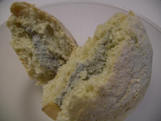 山形らしい『そばブッセ』はいかが?/