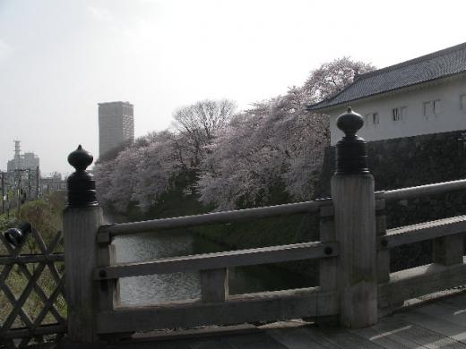 東大手門から望む霞城セントラル/