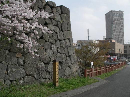 二の丸 南大手門です/