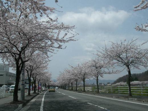 歩いてもドライブでも最高の景色です。/