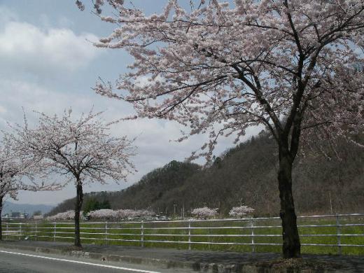 馬見ヶ崎から盃山を望む/
