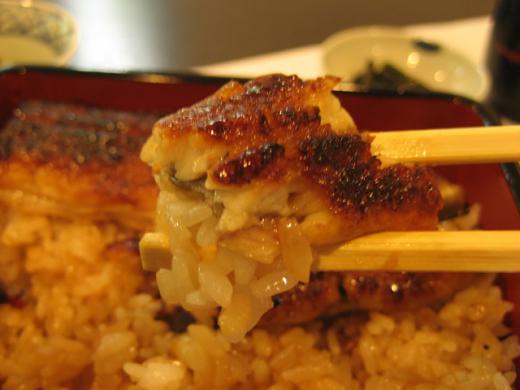 更に鰻のアップです。/