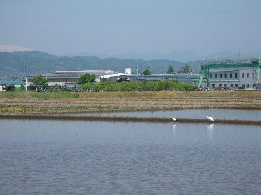 西部工業団地の南側に位置します。/