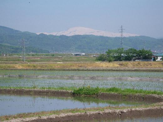 五月の月山です。/