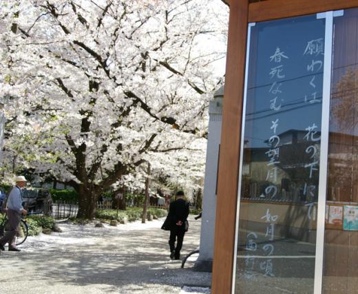 願わくは・・・/