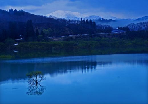 新緑の白川湖、その2/