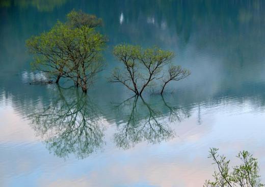 新緑の白川湖、その4/