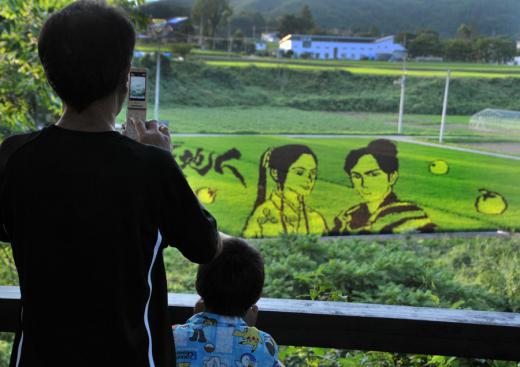 小野川ホタルなど、その2/