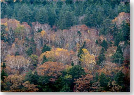 米沢の紅葉、その2/