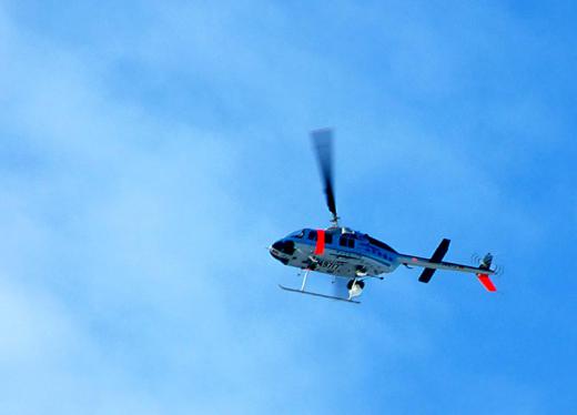 千葉の紅葉 --comment/