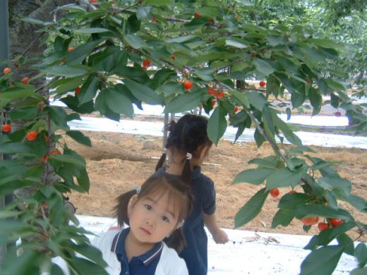 ベロおっかけでいく!!/