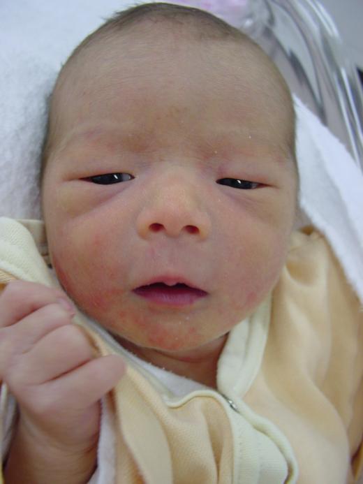 五月例会 --comment/