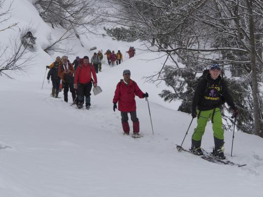 Naderayama Kankan Watari Snow Trek 2024 is open for signups!/