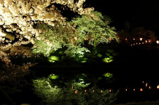 Sakura Light-ups at Matsugasaki Park and Kitamura Park!/