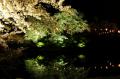 Sakura Light-ups at Matsugasaki Park and Kitamura Park!