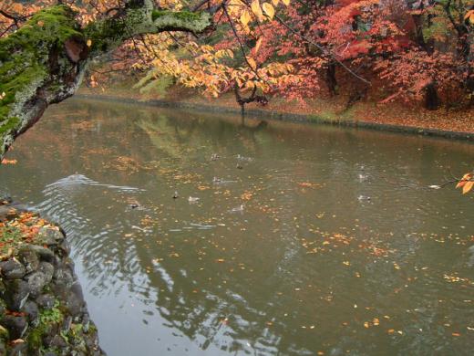 お堀では/