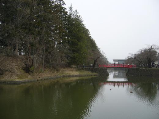 昨日撮った西側の画像です。/