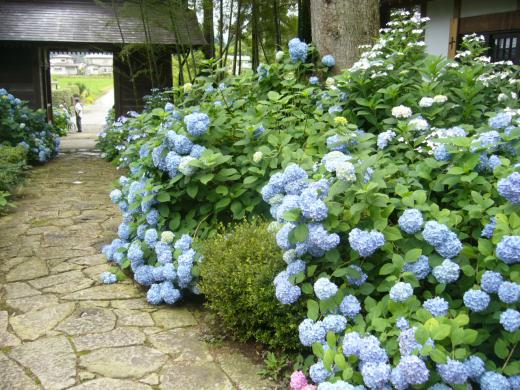 善光寺の場所は/