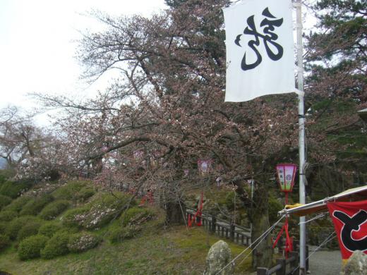 桜と龍の旗/