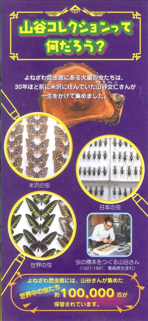よねざわ昆虫館 山谷コレクションて何だろう?/