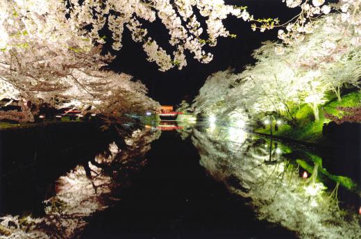 ライトアップされた松が岬公園/