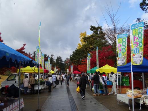 地産地消よねざわ秋の収穫市(軽トラ市)/