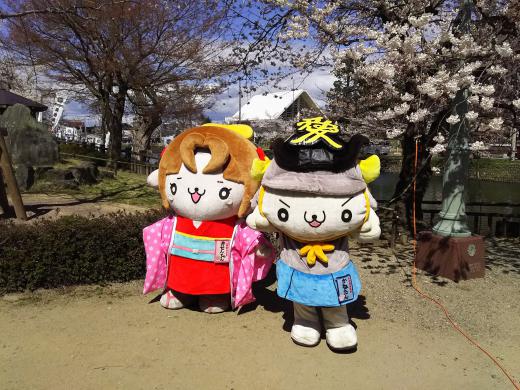 かねたんとおせんちゃんもお花見に散歩♪/