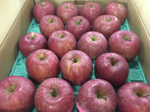 2017-11-25  館山りんご  🍎/