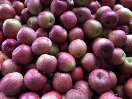 2017-11-25  館山りんご  🍎/