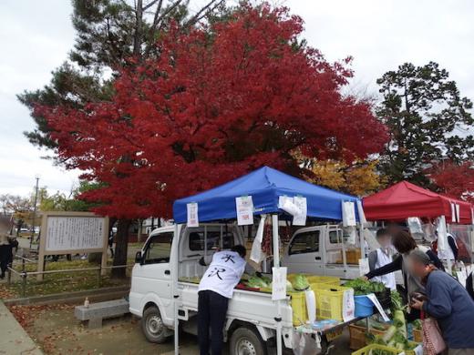 地産地消よねざわ秋の収穫市(軽トラ市)/