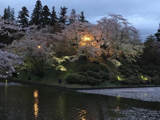 2019-4-25 上杉神社の桜/