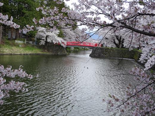 2020-4-24 上杉神社の桜/