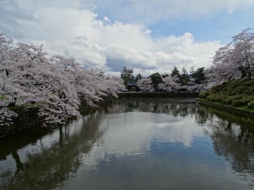 2020-4-24 上杉神社の桜/